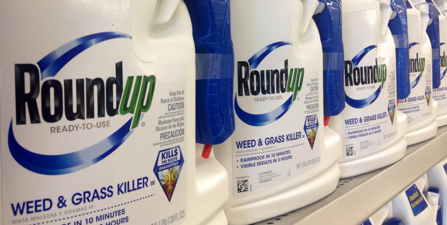 California Supreme Court finds in favor of Roundup weed killer cancer victims