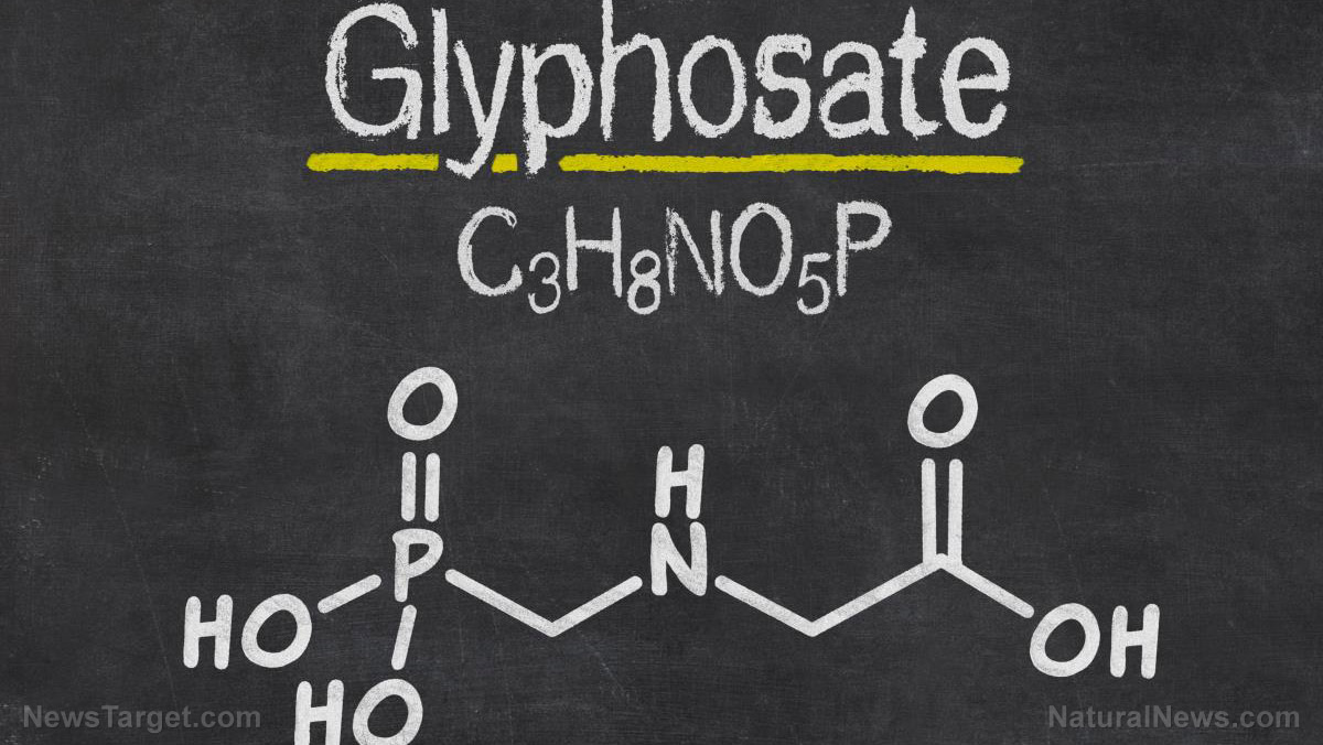 Court orders EPA to reassess glyphosate’s impact on human health and the environment