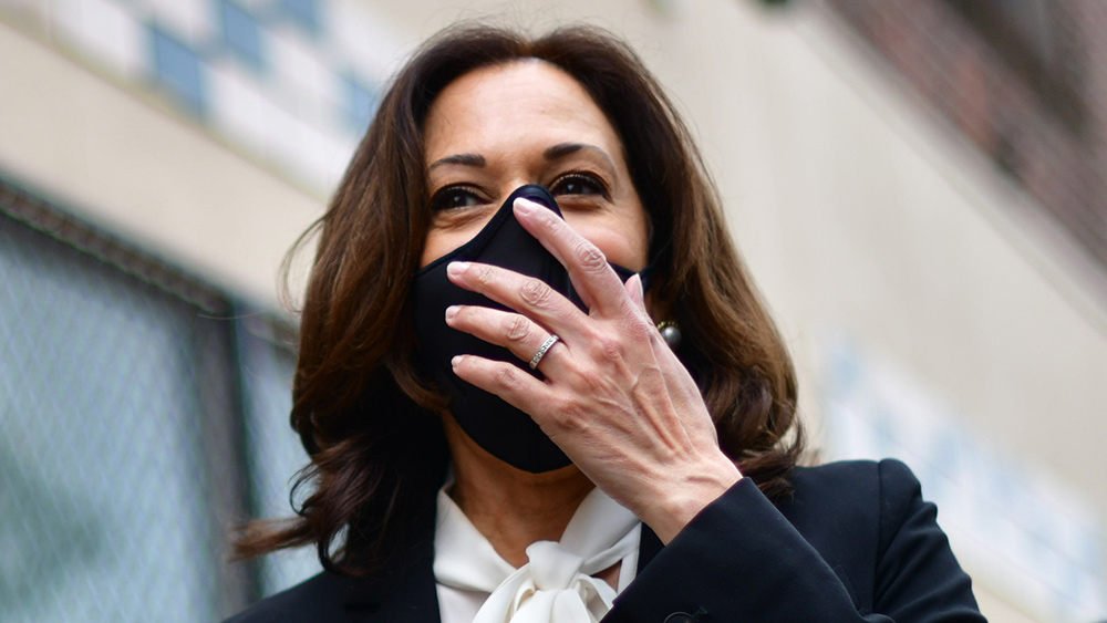 Seven months ago, Kamala Harris bailed out criminal rioters; now she wants to punish Capitol “insurrectionists”