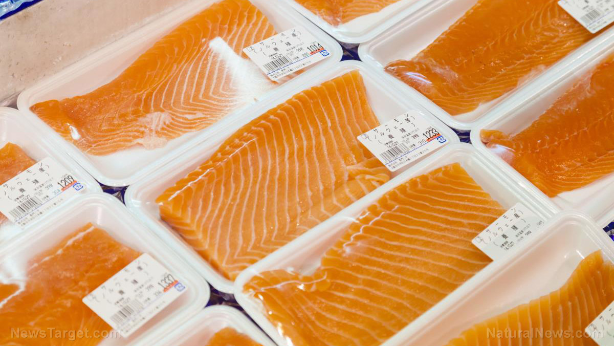 Toxic farmed salmon linked to higher risk of diabetes, obesity
