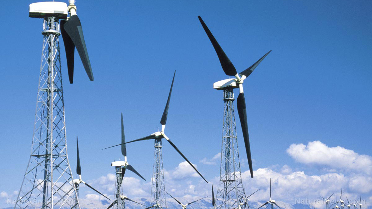 Scotland cuts down 14 MILLION trees to build new wind farms in latest greenwashing fiasco