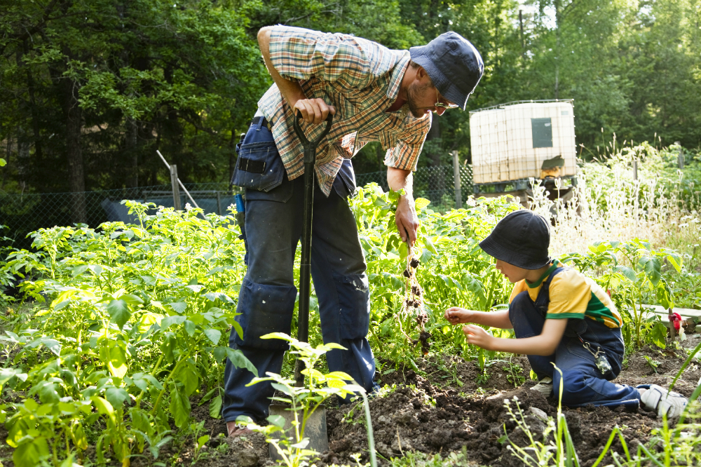 Water, gardening, community and more: 11 Important tips for preppers