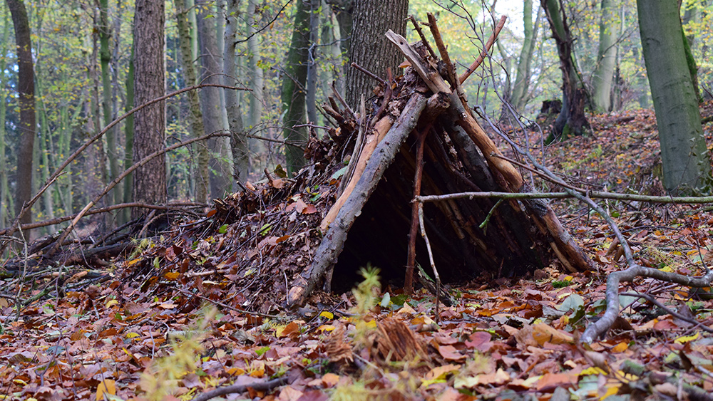 Essential survival skills: How to build a lean-to shelter