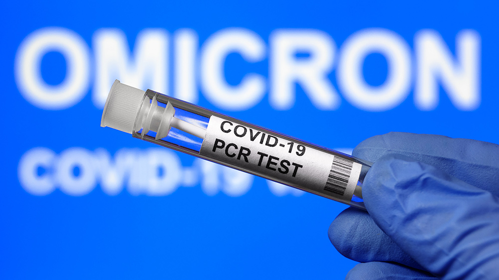 Covid “testing” needs to STOP, says influential infectious disease panel