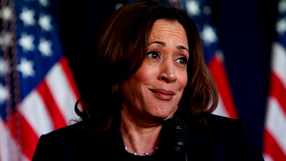 Kamala Harris enlists the support of DRAG QUEENS for her presidential